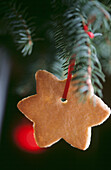 Nahaufnahme von sternförmigem Keksschmuck am Weihnachtsbaum