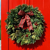 Red panel door with Festive Wreath made from evergreen foliage and gingham ribbon