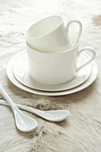 Delicate white cup and saucer with teaspoons on a fur background