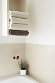 Corner of bathroom with folded towels on a shelf and a red Orchid pot plant