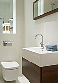 Wall mounted toilet and mirror with co-ordinating wash stand in contemporary London bathroom