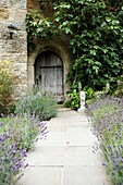 Paved path to gate with lavender growing in walled garden