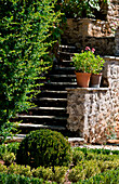 Stone stairs in garden