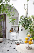 Lemon storage on table in Bordeaux conservatory apartment kitchen,  Aquitaine,  France