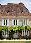 Ziegeldach und Fensterläden mit Kletterpflanze im sonnenbeschienenen Außenbereich eines Landhauses in der Dordogne Frankreich