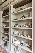 Seashells and ornaments in shelving in Suffolk hallway  England  UK