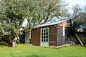 Garden shed below tree in Devon garden England UK