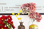 Verschiedene Schnittblumen mit Kunstwerken in einem Haus einer Londoner Familie, England, UK