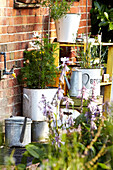 Garden plants and tap with watering can outside Brabourne farmhouse,  Kent,  UK