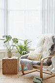 Light grey armchair with fur throws and houseplants in bay window of Alloa home  Scotland  UK