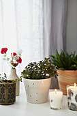 Lit candles and pot plants in Alloa home  Scotland  UK