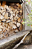 Stacked logs in woodshed  Berwick Upon Tweed  Northumberland  UK