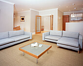 Modern living area with pale grey upholstered sofas and frosted glass coffee table