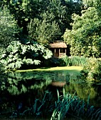 Garden pond with thatched summerhouse surrounded by Gunnera plants
