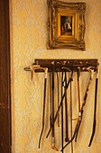 Antique riding crops hanging in yellow wallpapered hall
