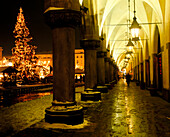 Lighted Christmas tree in the main square with covered colonnade