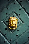 Lion head door knocker on studded wooden door