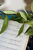 Boars Head Carol music with branch of bay leaves