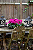 Pink flowers and lanterns on fenced garden table