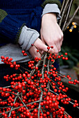 Hands holding bunch of red berried branches