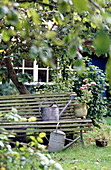 Watering cans on bench in country garden with apple tree