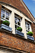 Oxfordshire house with topiary plants in window boxes