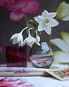 Vase mit weißen Blumen auf Tischtuch mit Blumendruck