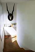 Staircase in modern house with animal skull with antlers on the wall