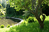 Teich im Garten an einem sonnigen Tag