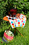 Picnic table with champagne and strawberries
