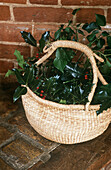 Wicker basket filled with holly leaves