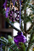 Purple ornaments hang on Christmas tree Hereford