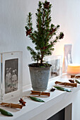 Christmas tree with cinnamon sticks and leaves tied with string on Richmond mantlepiece