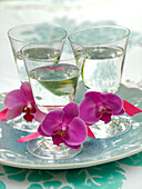 Three wine glasses on a summer table