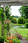 Flowering plants and pergola in grounds of rural Suffolk country house England UK