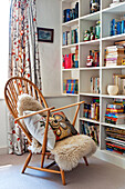 Fur rug on wooden chair with bookcase in Hertfordshire family home, England, UK