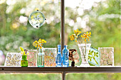 Single stem flowers in small vases with hand-painted stained glass in window of Essex home, England, UK