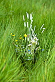 Jar of wildflowers in long grass, Brecon, Powys, Wales, UK