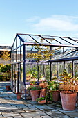 Terrakotta-Topfpflanzen und Gewächshaus im Außenbereich in Blagdon, Somerset, England, UK