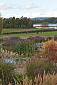 Grass and pond garden in rural Blagdon, Somerset, England, UK