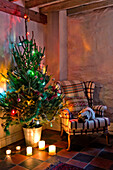 Hund schläft auf Sessel neben Weihnachtsbaum mit beleuchteten Kerzen in Tregaron home Wales UK