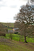 Winterbäume auf einem Hügel mit Zaun in der Landschaft von Sherford in Devon, UK