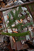 Pine needles with fallen leaves on Hawkwell tree farm Essex England UK