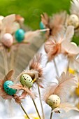 Easter eggs and feather decorations in Sussex garden England UK