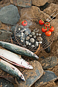 Fish and tomatoes with seashells drying on barbecue grill Cornwall UK