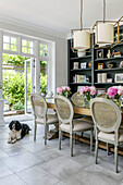Springer spaniel at open doorway of dining room extension in grade II-listed Victorian home Godalming Surrey UK