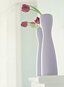 Still life of purple tulips in pale purple vases against a pale blue wall on a mantelpiece