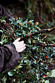 Frau beim Sammeln von Weihnachtslaub in der Landschaft von Shropshire, England, UK