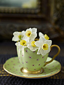 Daffodils in vintage teacup
