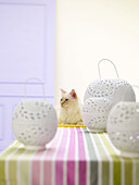 Cat sits on striped tablecloth with white decorative lanterns